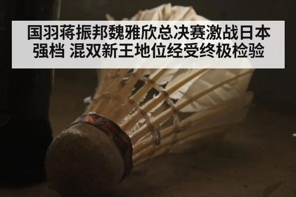国羽蒋振邦魏雅欣总决赛激战日本强档 混双新王地位经受终极检验